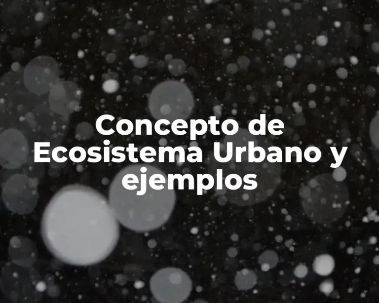 Concepto de Ecosistema Urbano y ejemplos