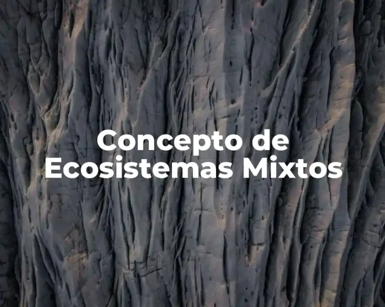 Concepto de Ecosistemas Mixtos
