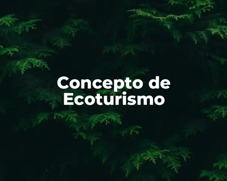 Concepto de Ecoturismo