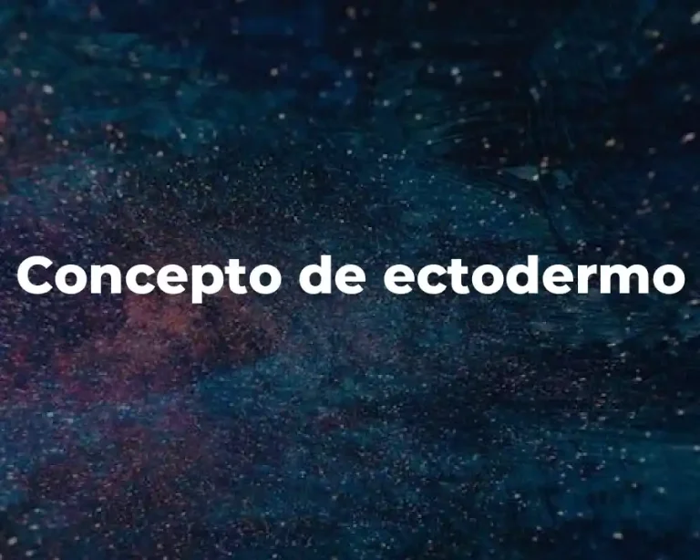 Concepto de ectodermo