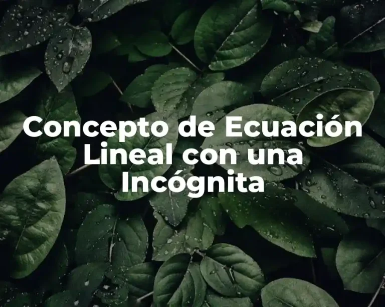 Concepto de Ecuación Lineal con una Incógnita