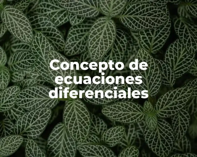 Concepto de ecuaciones diferenciales