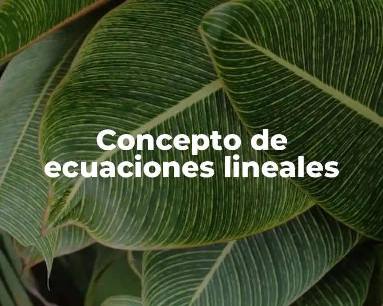 Concepto de ecuaciones lineales