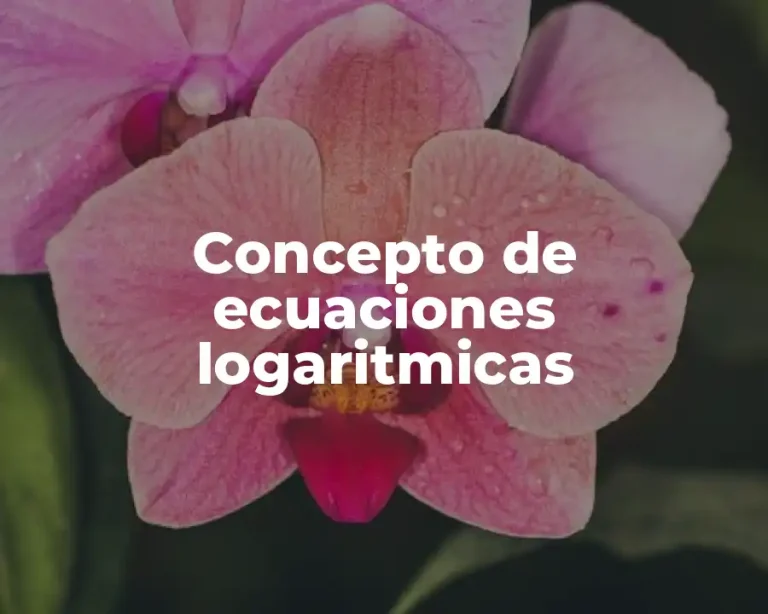 Concepto de ecuaciones logaritmicas