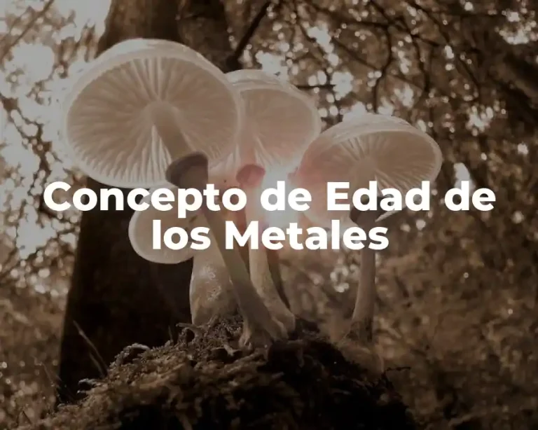 Concepto de Edad de los Metales