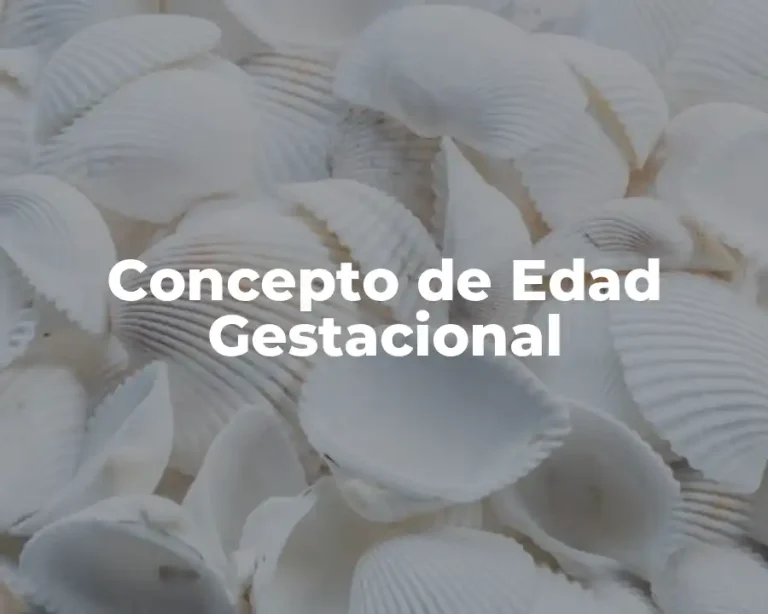 Concepto de Edad Gestacional