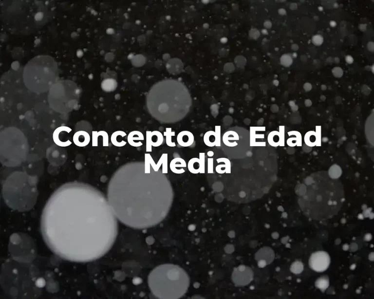 Concepto de Edad Media