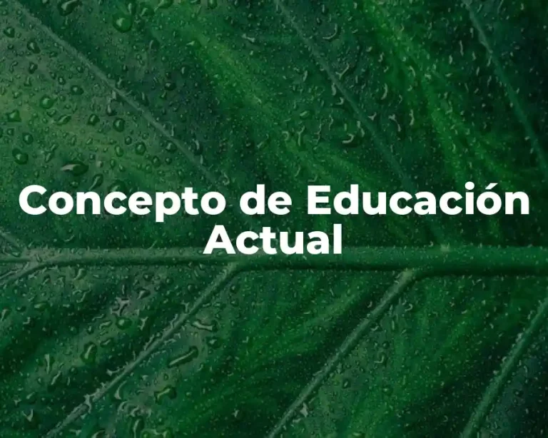 Concepto de Educación Actual