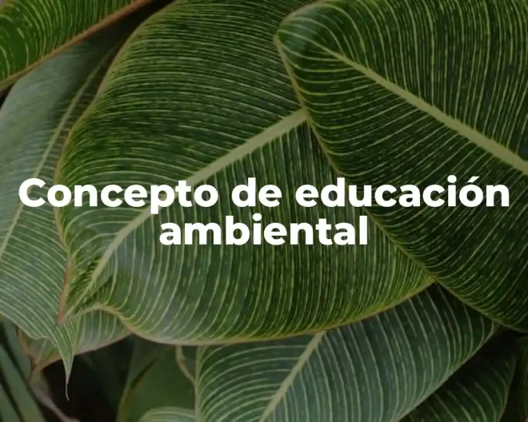 Concepto de educación ambiental