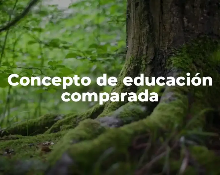 Concepto de educación comparada
