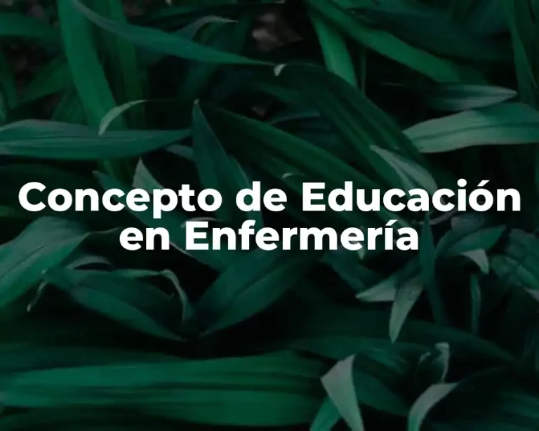 Concepto de Educación en Enfermería