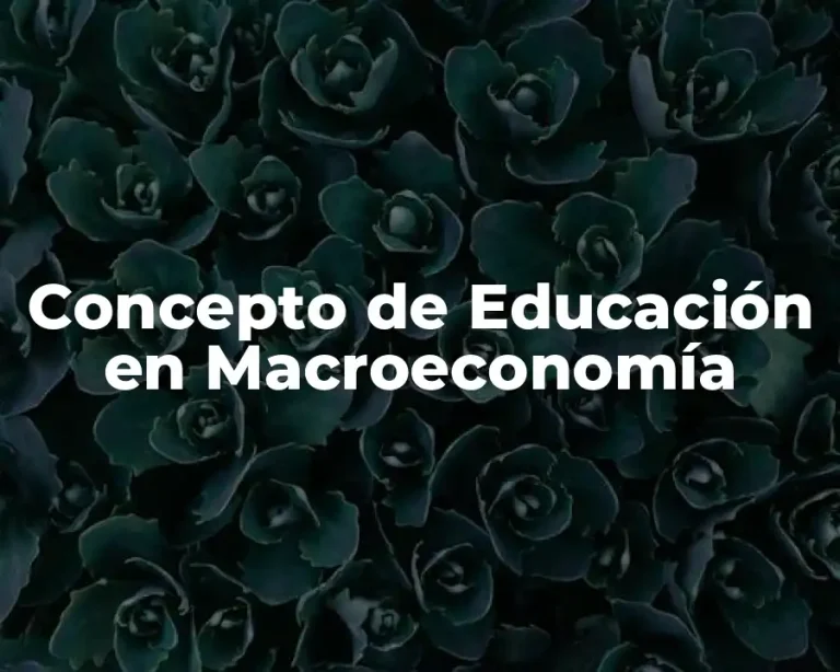 Concepto de Educación en Macroeconomía