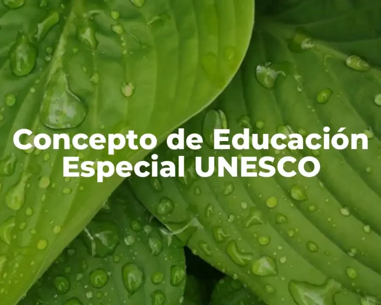 Concepto de Educación Especial UNESCO