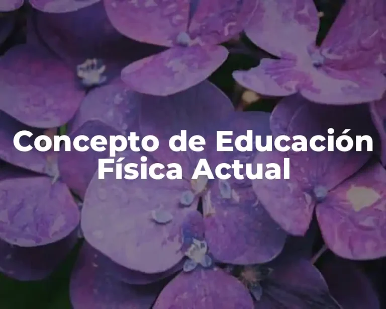 Concepto de Educación Física Actual