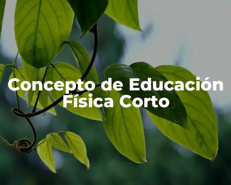 Concepto de Educación Física Corto