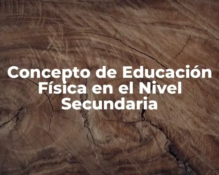 Concepto de Educación Física en el Nivel Secundaria