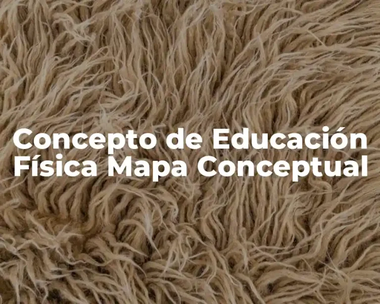 Concepto de Educación Física Mapa Conceptual
