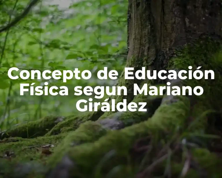 Concepto de Educación Física segun Mariano Giráldez