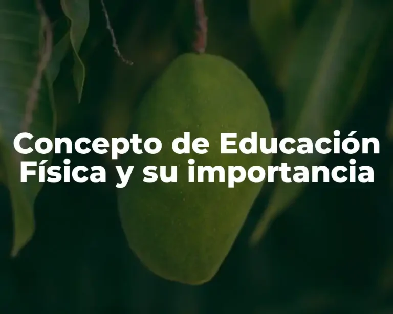 Concepto de Educación Física y su importancia