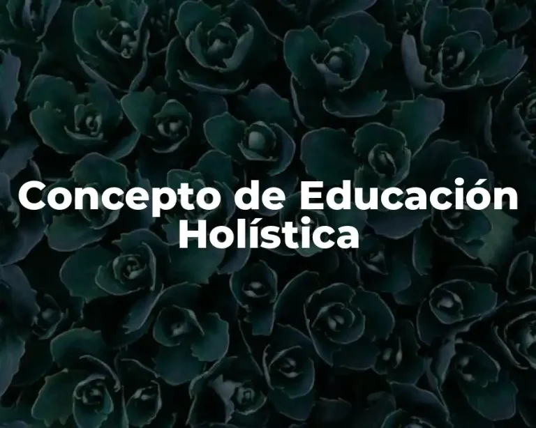 Concepto de Educación Holística