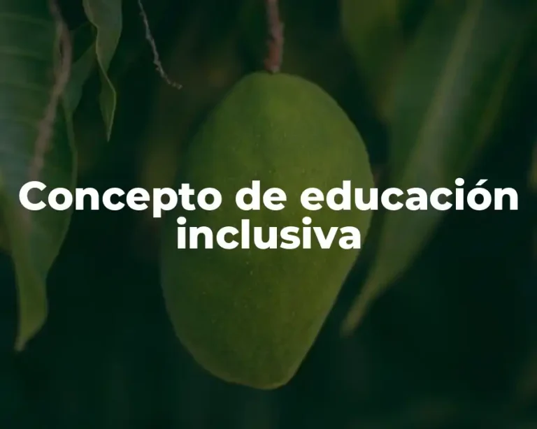 Concepto de educación inclusiva