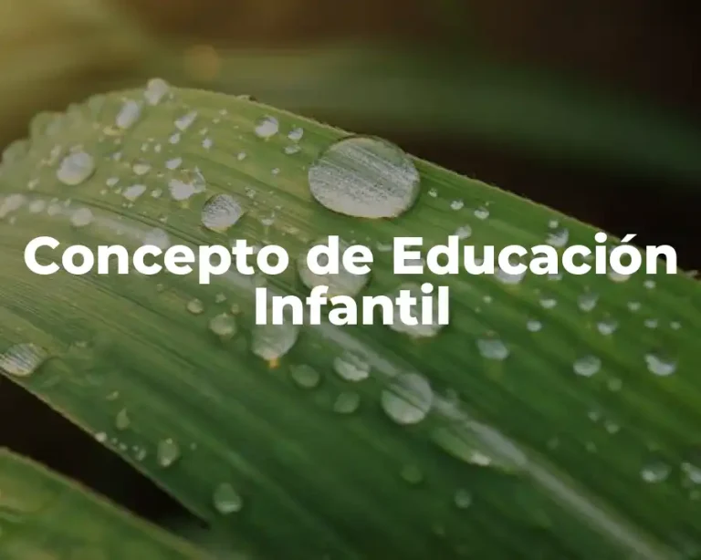 Concepto de Educación Infantil