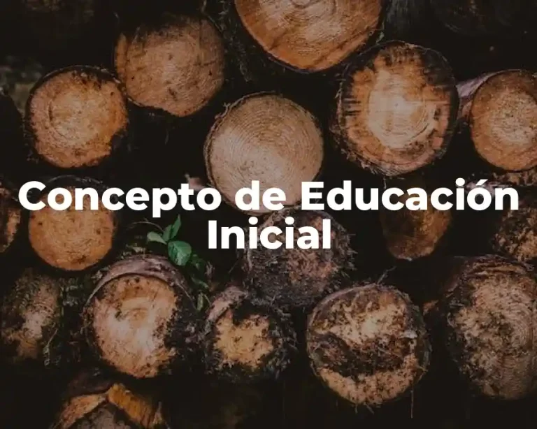 Concepto de Educación Inicial
