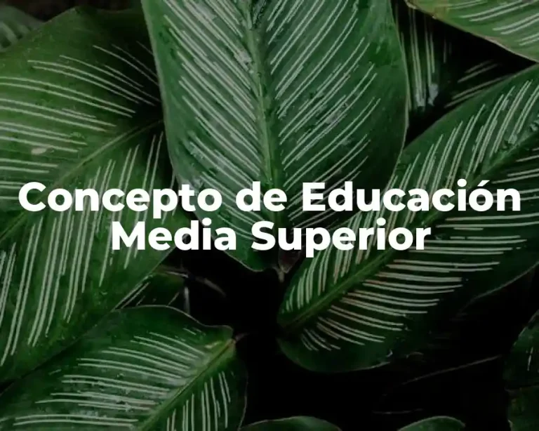 Concepto de Educación Media Superior