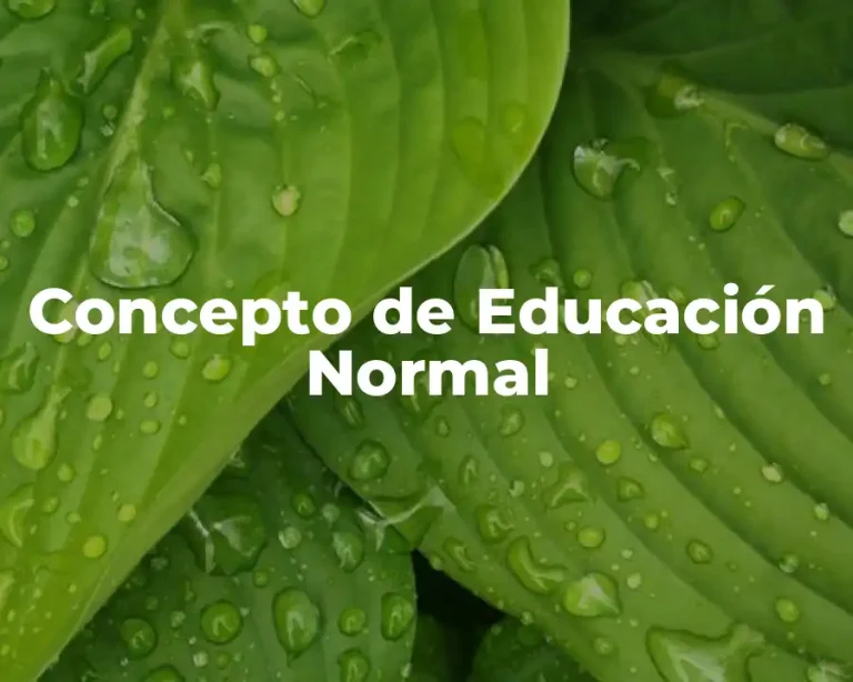 Concepto de Educación Normal