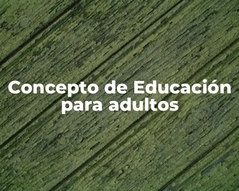 Concepto de Educación para adultos