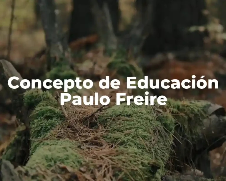 Concepto de Educación Paulo Freire