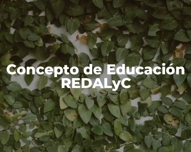 Concepto de Educación REDALyC