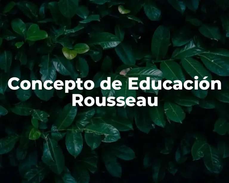 Concepto de Educación Rousseau