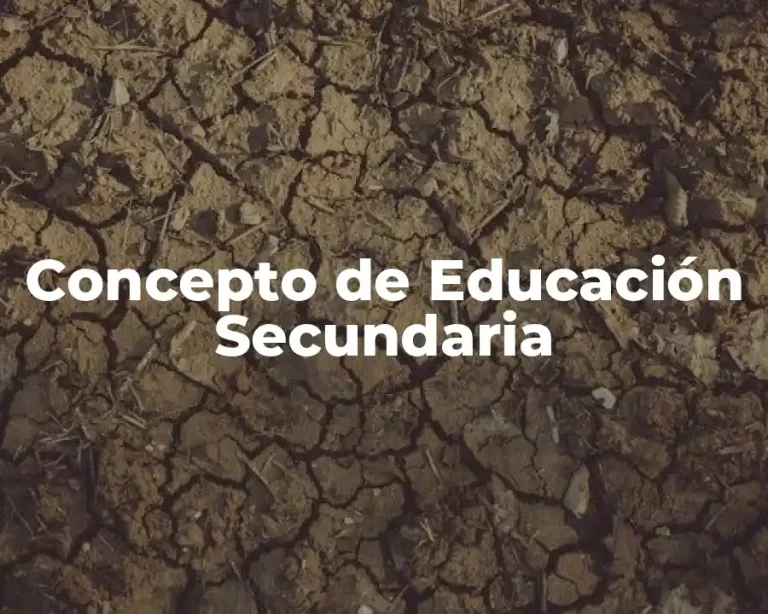 Concepto de Educación Secundaria