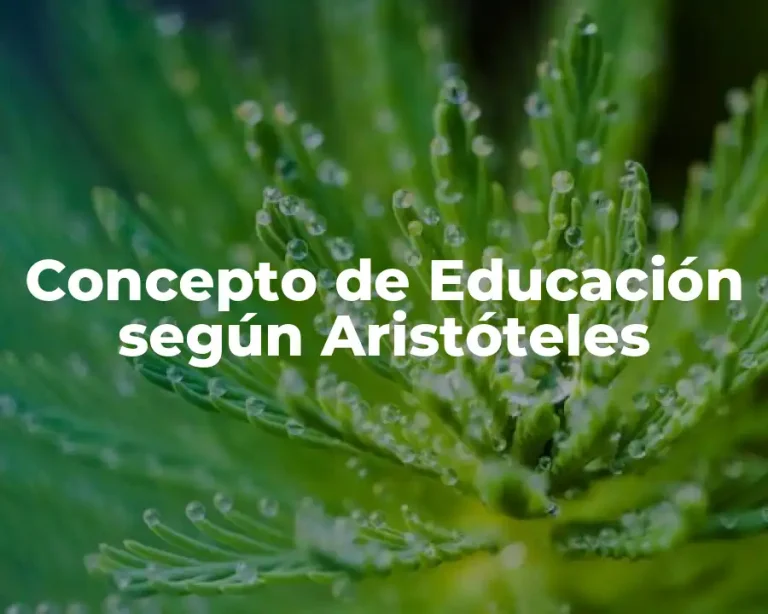 Concepto de Educación según Aristóteles