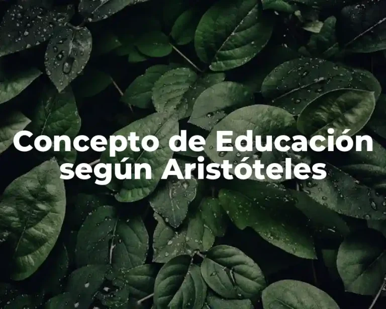 Concepto de Educación según Aristóteles
