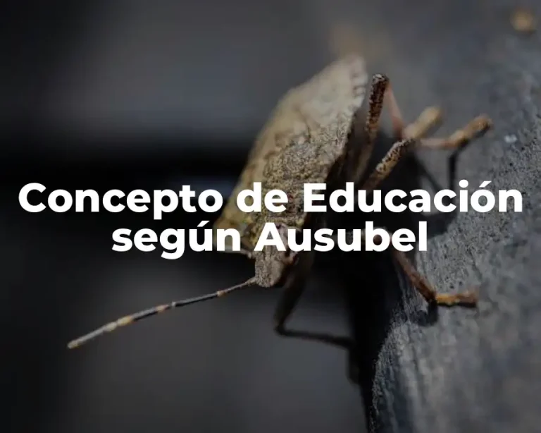 Concepto de Educación según Ausubel