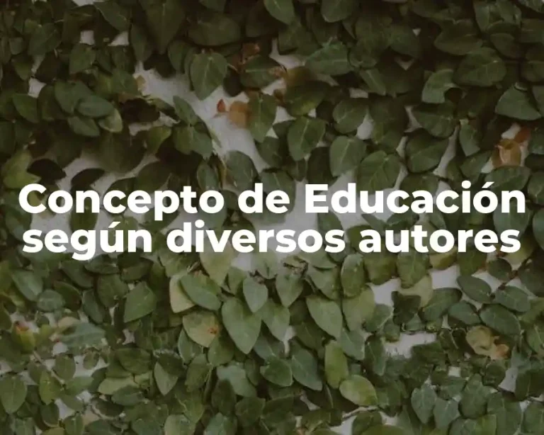 Concepto de Educación según diversos autores