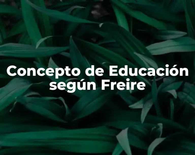 Concepto de Educación según Freire