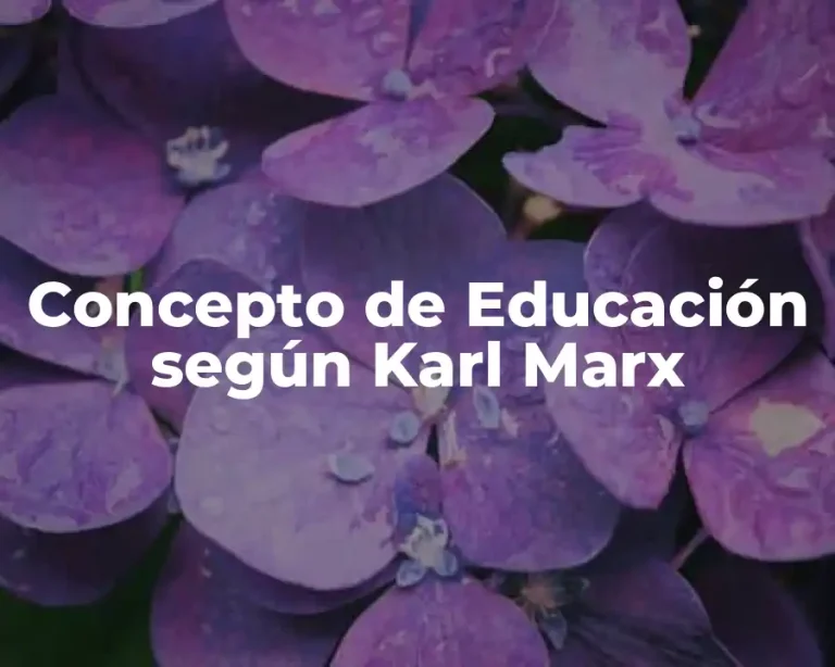 Concepto de Educación según Karl Marx