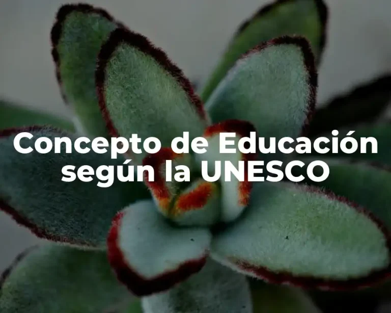 Concepto de Educación según la UNESCO