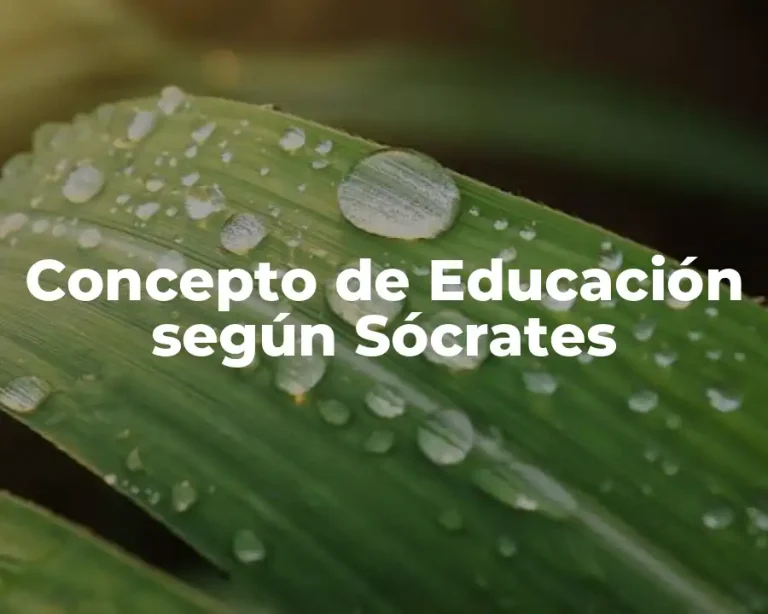 Concepto de Educación según Sócrates