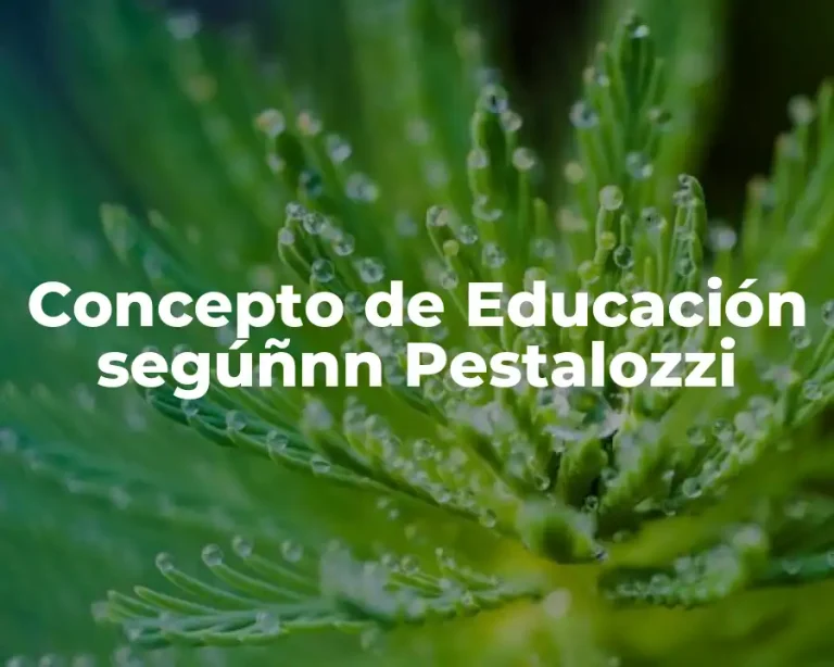 Concepto de Educación segúñnn Pestalozzi