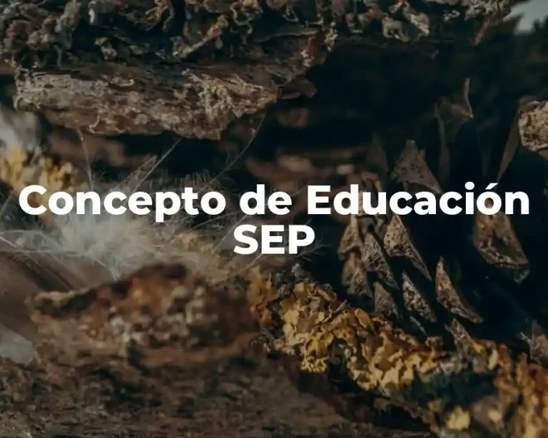 Concepto de Educación SEP