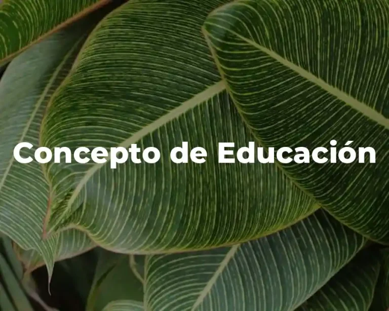 Concepto de Educación