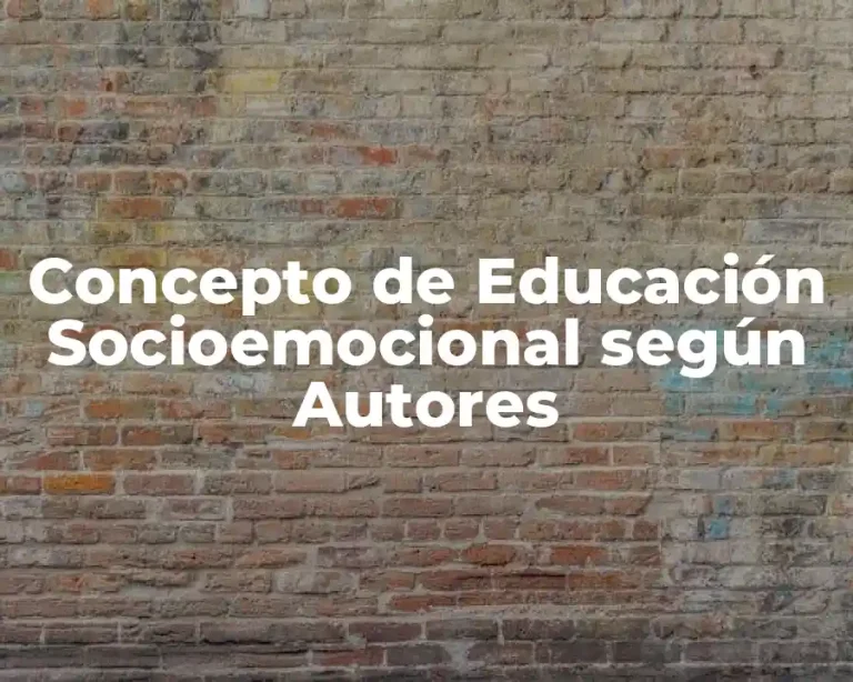 Concepto de Educación Socioemocional según Autores