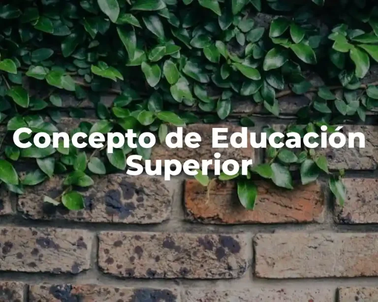 Concepto de Educación Superior