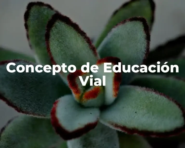 Concepto de Educación Vial