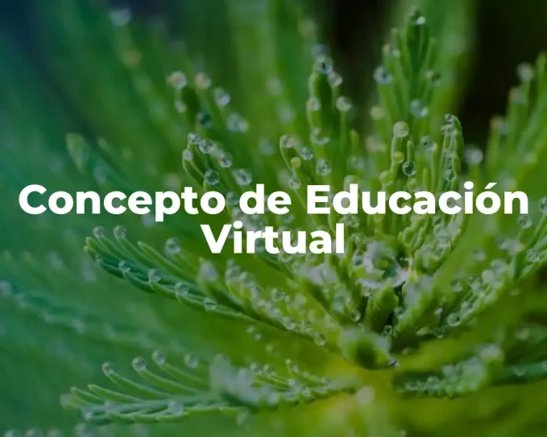 Concepto de Educación Virtual