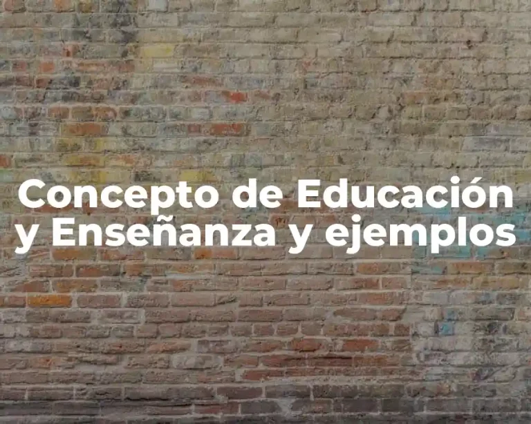 Concepto de Educación y Enseñanza y ejemplos